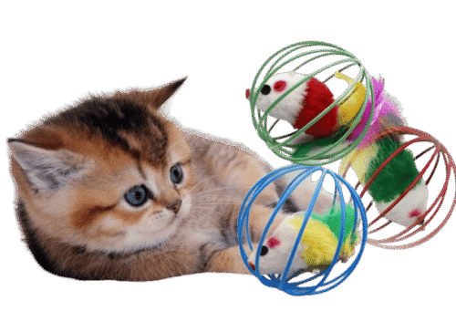 Pelota Metálica con Ratón - Imagen 2