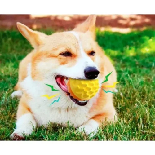 Pelota Peak - Imagen 3