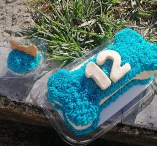 PPastel Artesanal de Cumpleaños para mascota 7 a 10 porciones