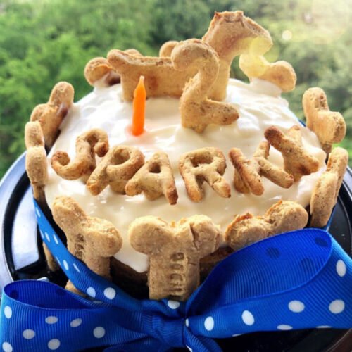 Pastel Artesanal de Cumpleaños para mascota 2 a 3 porciones