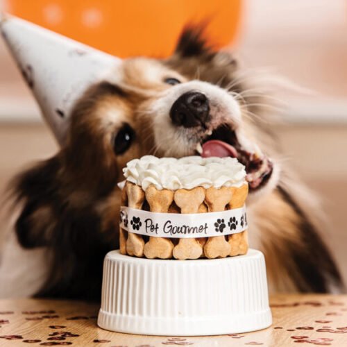 Pastel Artesanal de Cumpleaños para mascota 1 porción